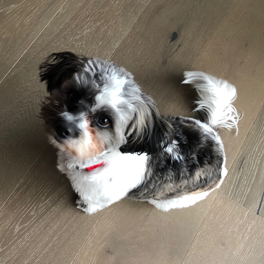 Meet your Posher, Rob